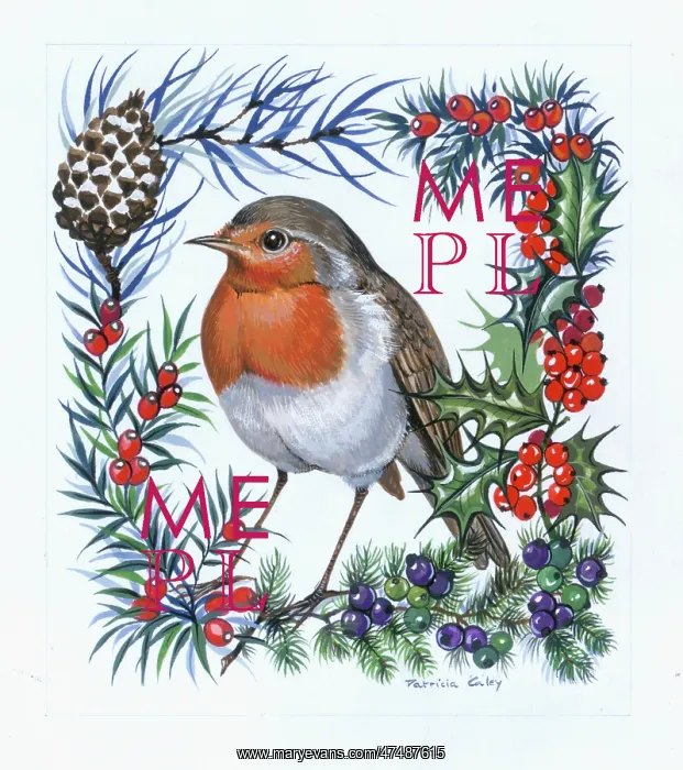  : Robin in Border of Holly and Berries etc
