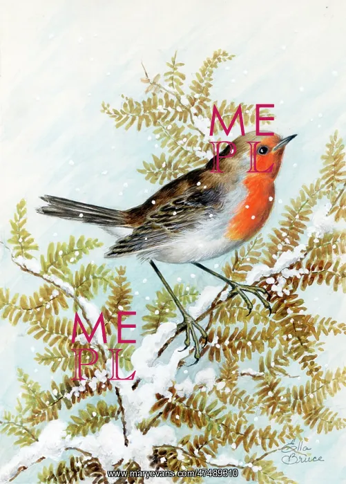  : Robin on bracken in the snow