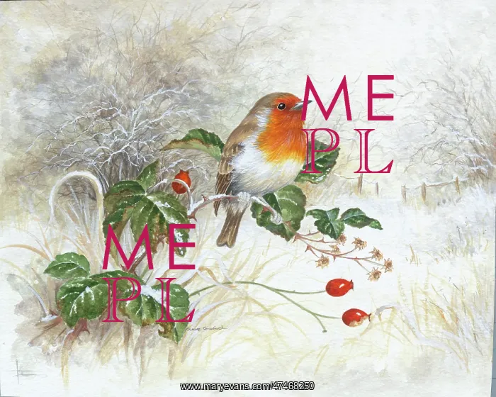  : Robin on brambles with rose hips