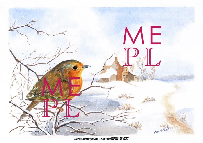 : Robin on a branch by a frozen stream : Robin on a branch by a frozen stream