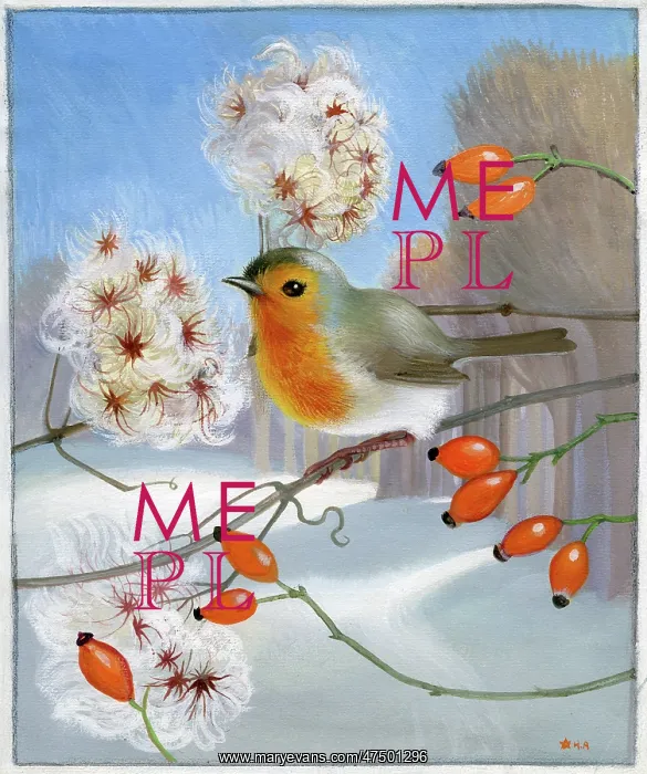 : Robin on a branch with hose-hips : Robin on a branch with hose-hips