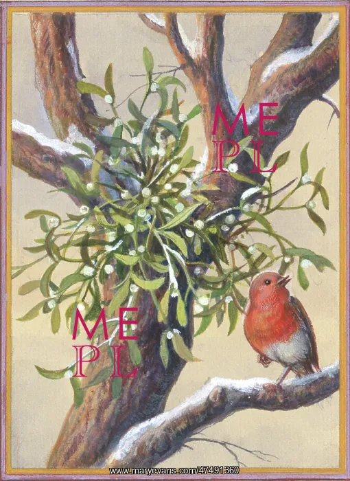  : Robin on branch of a snow-covered tree