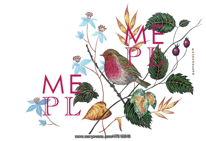  : Robin on a branch with various leaves around