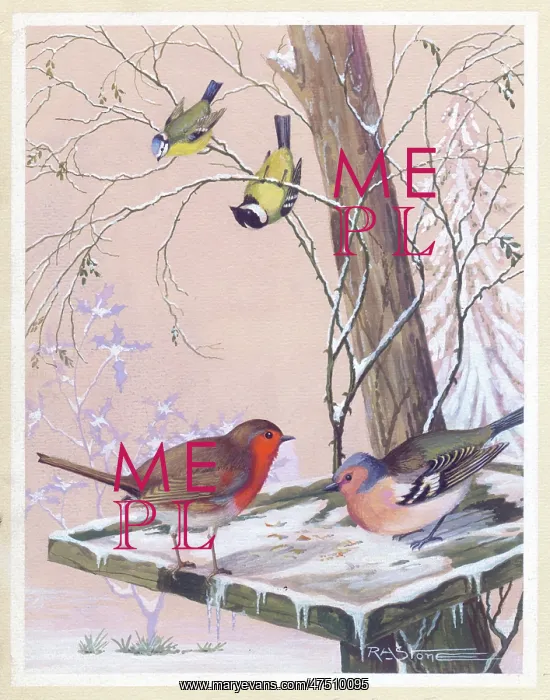 : Robin and Chaffinch on a bird table : Robin and Chaffinch on a bird table