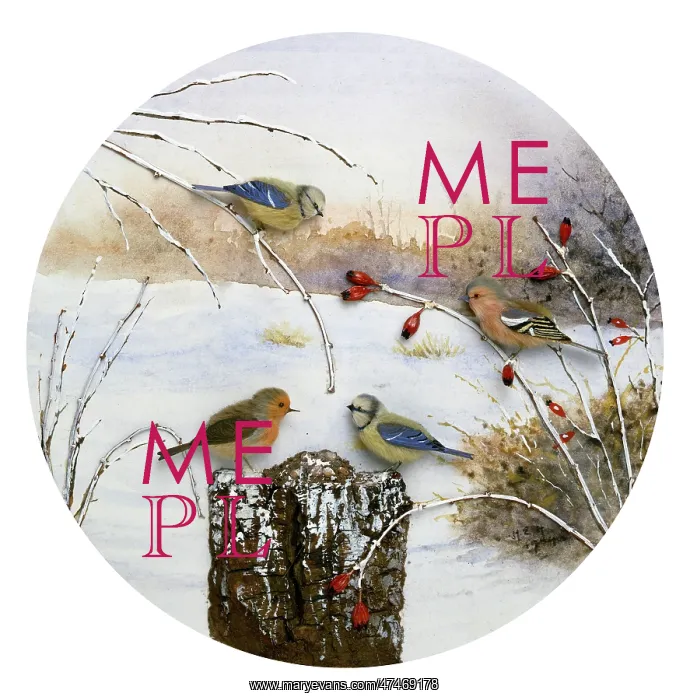 : Robin, Chaffinch and Blue Tits : Robin, Chaffinch and Blue Tits