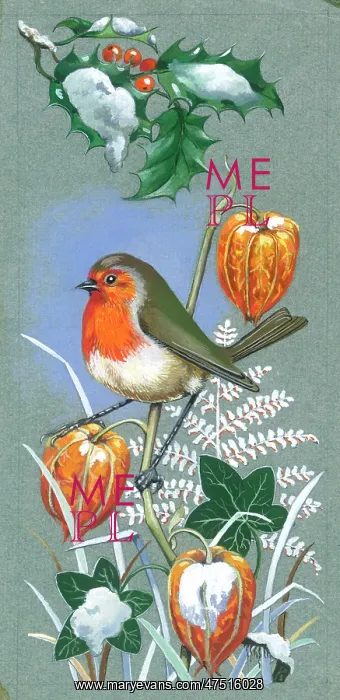 : Robin on Chinese Lanterns : Robin on Chinese Lanterns