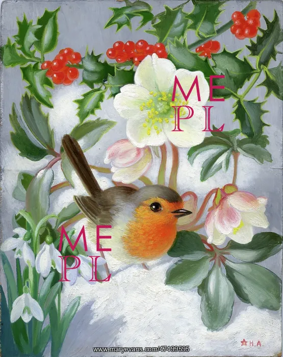 : Robin, Christmas roses, holly and snowdrops : Robin, Christmas roses, holly and snowdrops