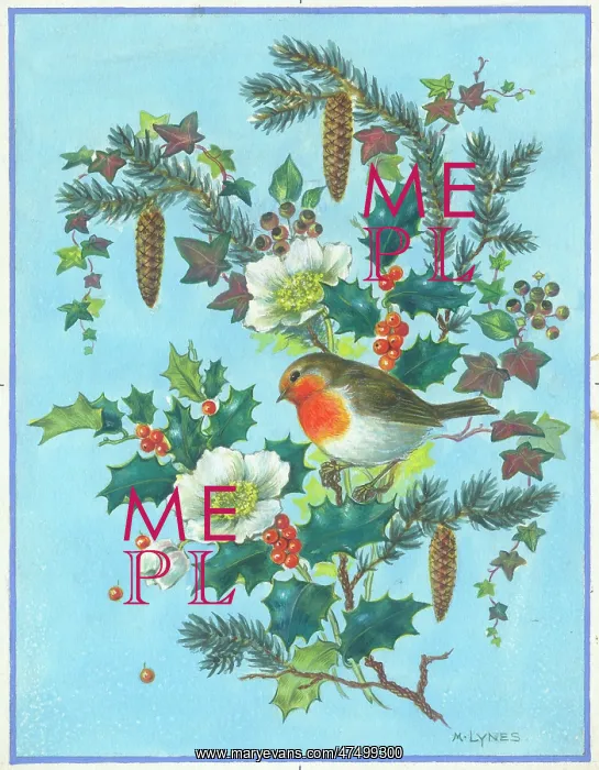 : Robin on a Christmas spray : Robin on a Christmas spray