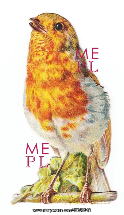  : Robin on a cutout Christmas card