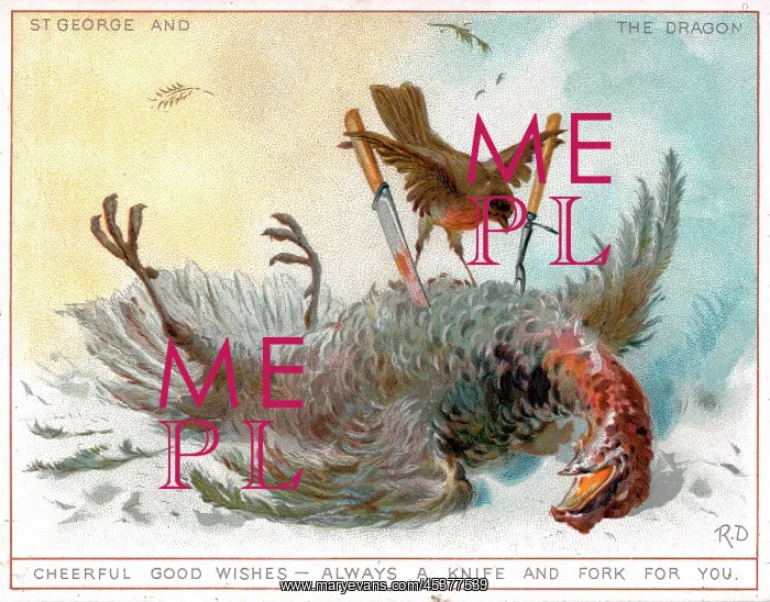 : Robin and dead bird on a greetings card : Robin and dead bird on a greetings card