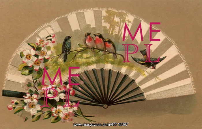  : Robin, Fan and Flowers
