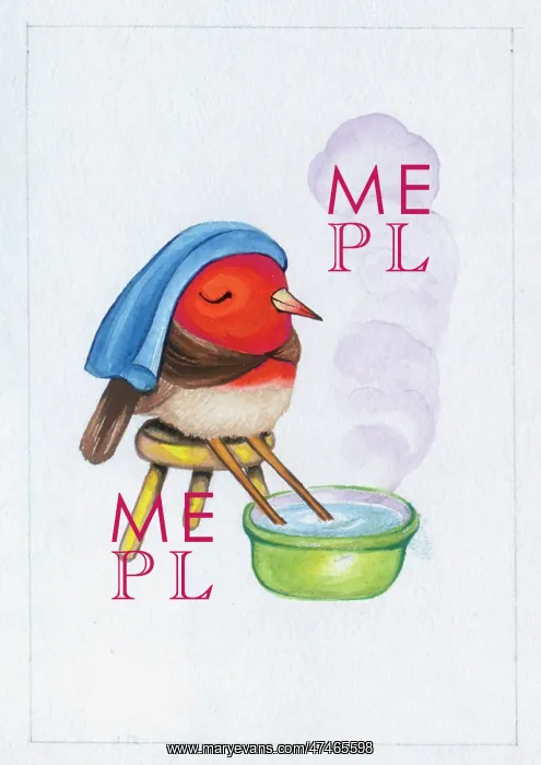  : Robin with its Feet in a Mustard Bath