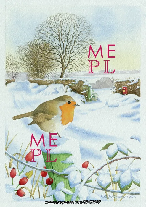  : Robin on a fence post in the snow with hips