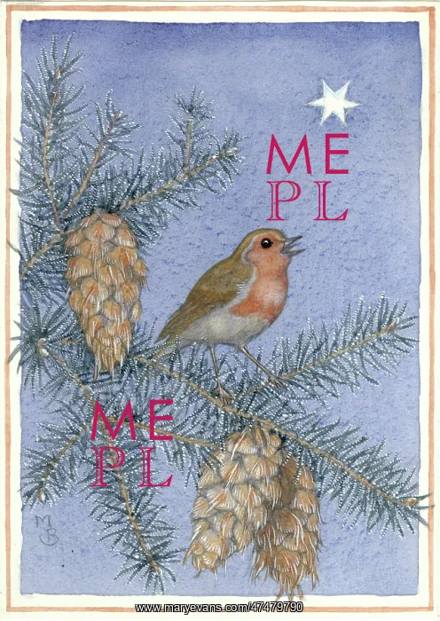 : Robin with fir cones and star : Robin with fir cones and star