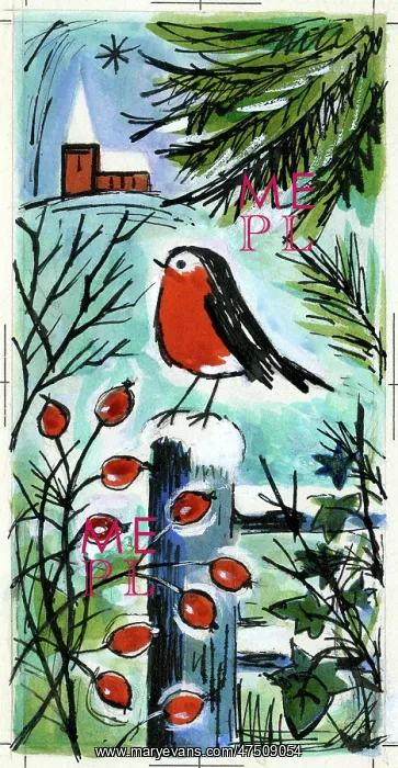 : Robin on a gate post : Robin on a gate post