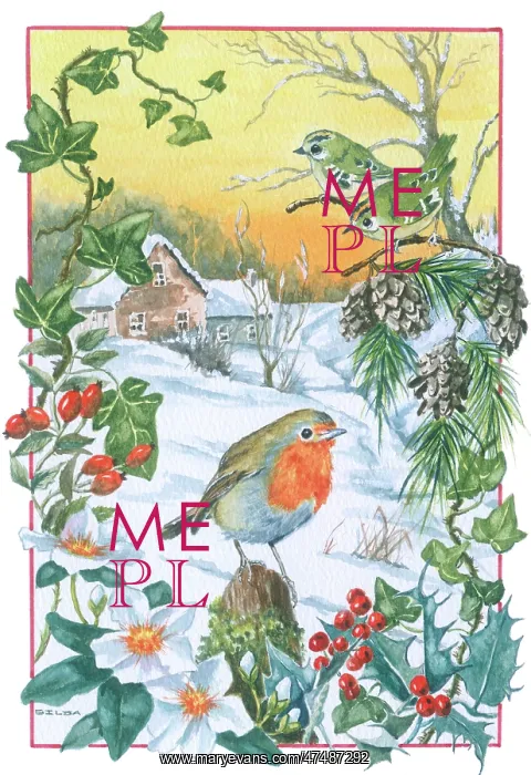 : Robin and Goldcrests with snowy view : Robin and Goldcrests with snowy view
