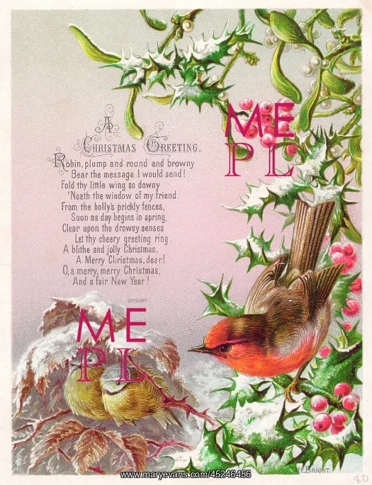 : Robin and two great tits on a Christmas card : Robin and two great tits on a Christmas card