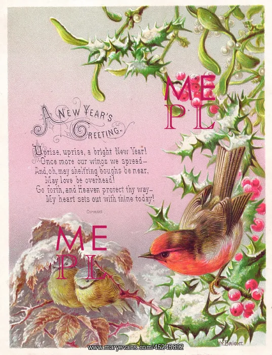 : Robin and two great tits on a New Year card : Robin and two great tits on a New Year card