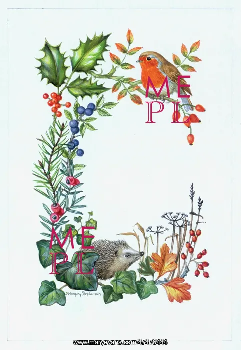 : Robin and Hedgehog ? with holly, ivy etc : Robin and Hedgehog ? with holly, ivy etc
