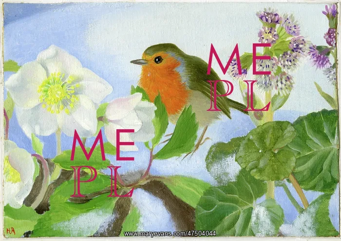  : Robin on hellebores