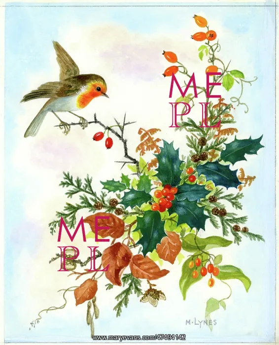 : Robin and hips and other winter foliage : Robin and hips and other winter foliage