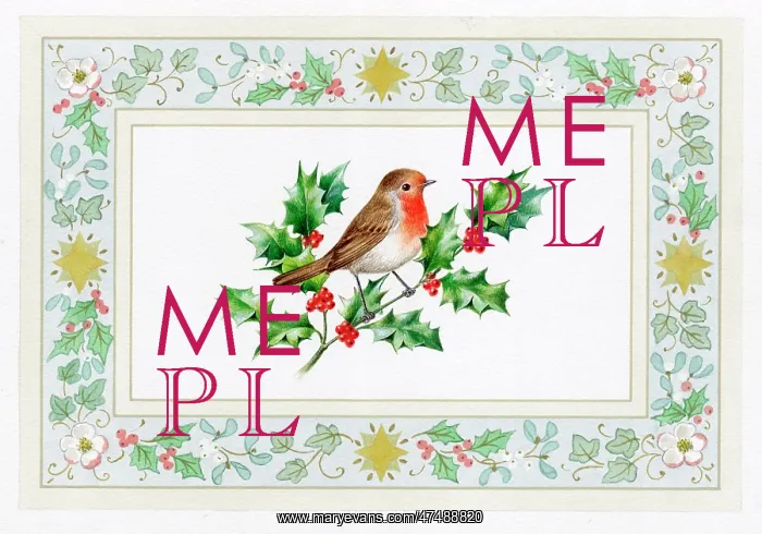  : Robin on holly within border of holly and ivy etc