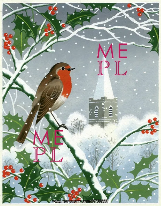 : Robin on a holly bough in the snow : Robin on a holly bough in the snow