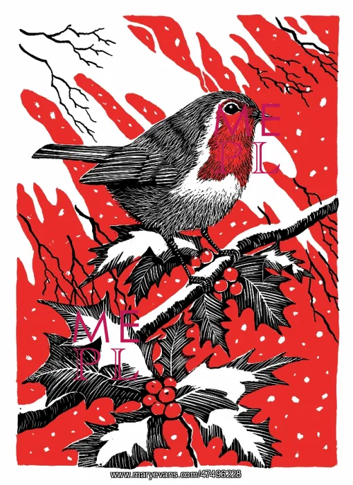 : Robin on a Holly Branch in the snow : Robin on a Holly Branch in the snow