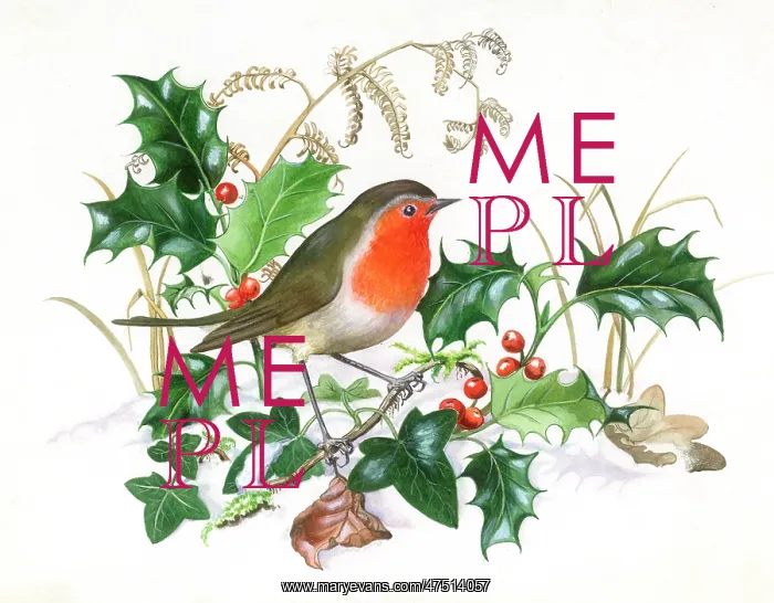  : Robin with Holly and Ivy