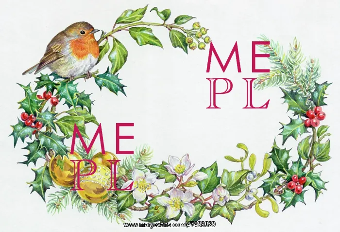 : Robin on Holly with ivy, mistletoe, pine etc : Robin on Holly with ivy, mistletoe, pine etc