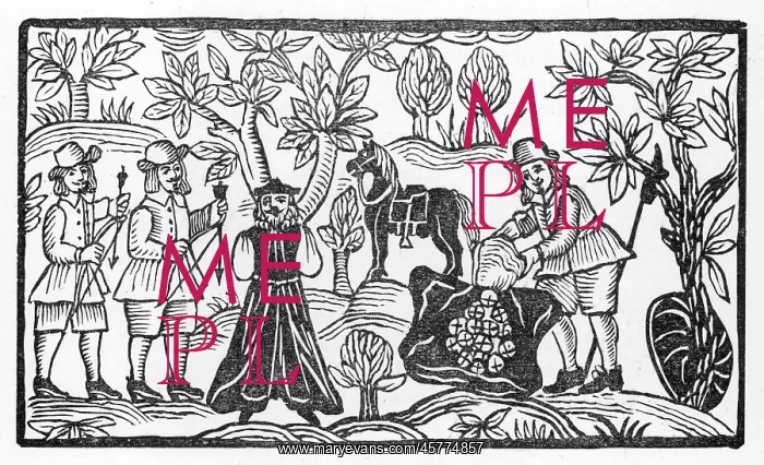 : ROBIN HOOD & BISHOP - 2 : ROBIN HOOD & BISHOP - 2