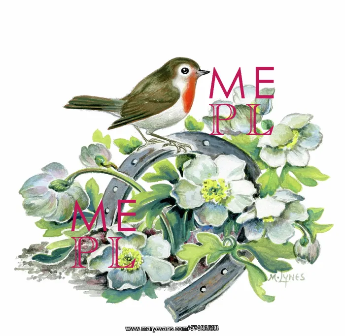  : Robin on Horseshoe with Christmas roses