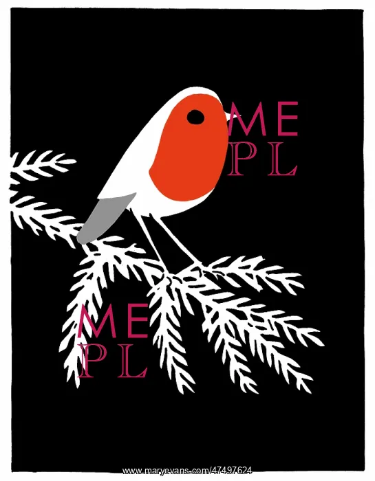 : Robin on a Larch bough : Robin on a Larch bough