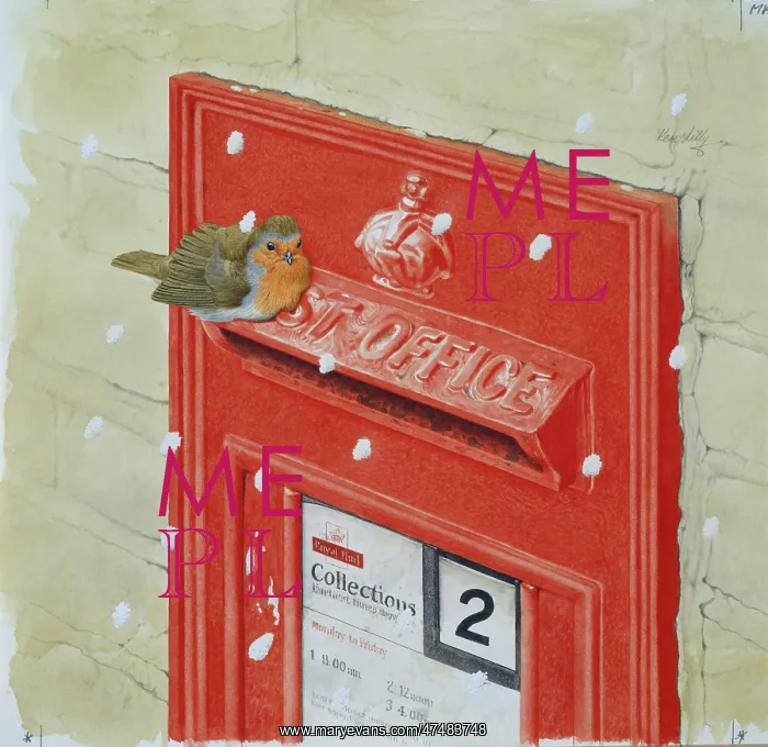  : Robin on Letterbox in Wall ' with snow