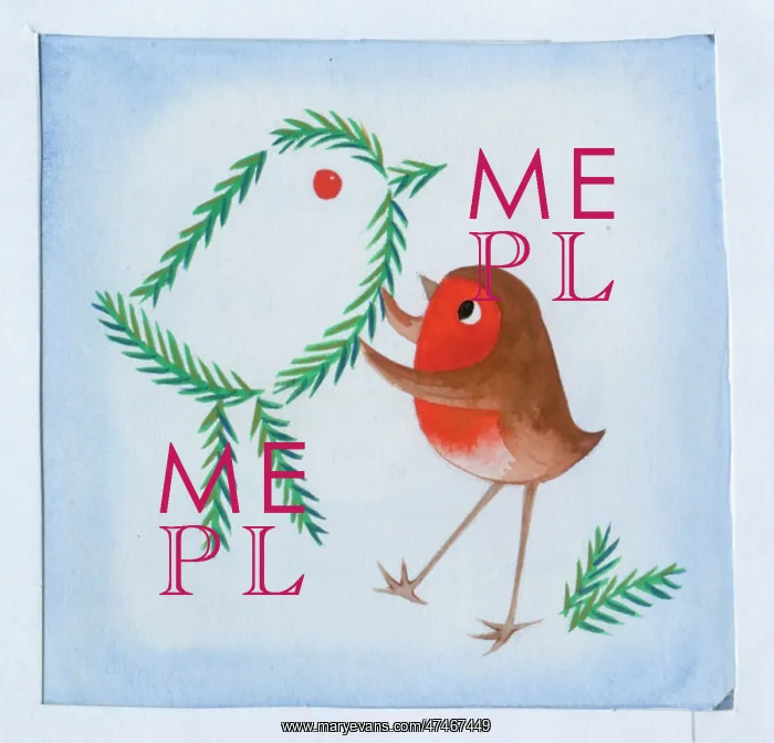  : Robin making fir spray robin