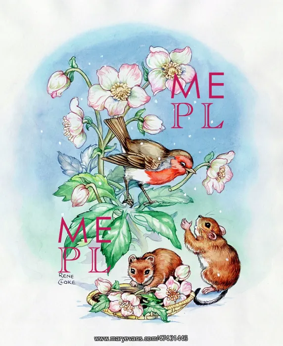  : Robin, Mice and Christmas roses