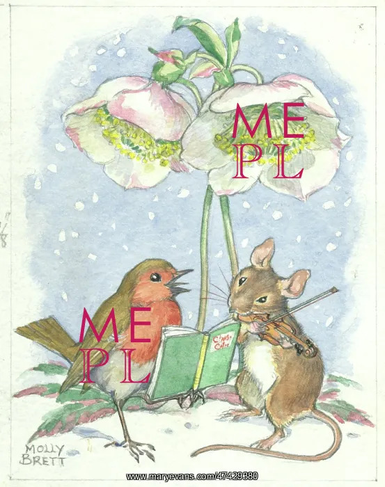 : Robin and mouse under Christmas rose : Robin and mouse under Christmas rose