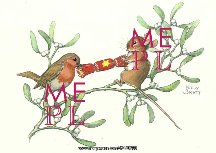 : Robin and mouse pull Christmas cracker : Robin and mouse pull Christmas cracker