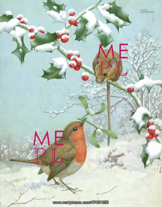  : Robin and Mouse in the Snow