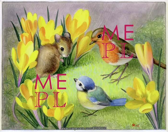 : Robin, Mouse and Tit among crocuses : Robin, Mouse and Tit among crocuses