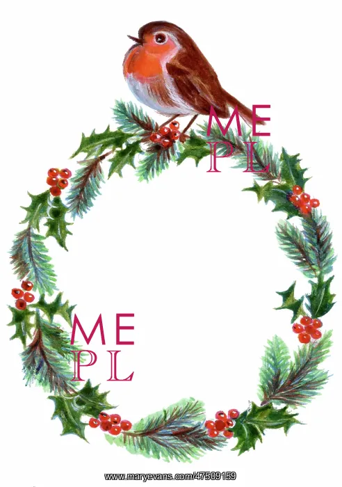  : Robin perched on holly wreath
