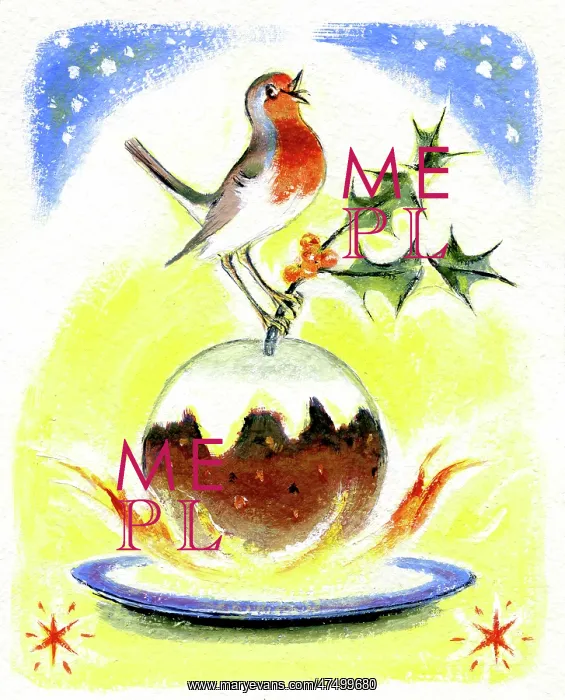 : Robin perched on a plum pudding : Robin perched on a plum pudding