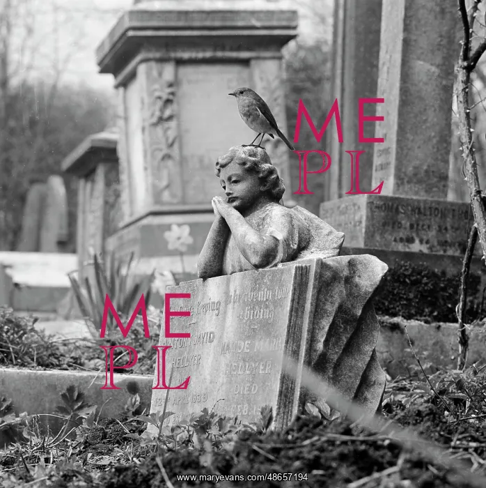 : A robin perched on the sculpture of a child - West Cemetery : A robin perched on the sculpture of a child - West Cemetery