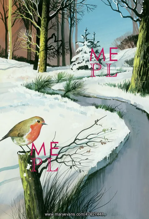  : Robin on a Post by a Stream