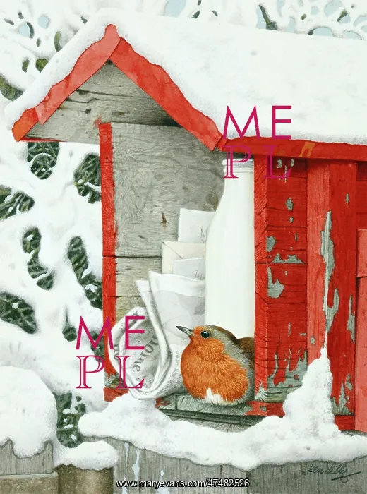 : Robin in a Private Post Box ' in snow : Robin in a Private Post Box ' in snow