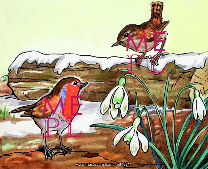  : Robin Redbreast and Jenny Wren