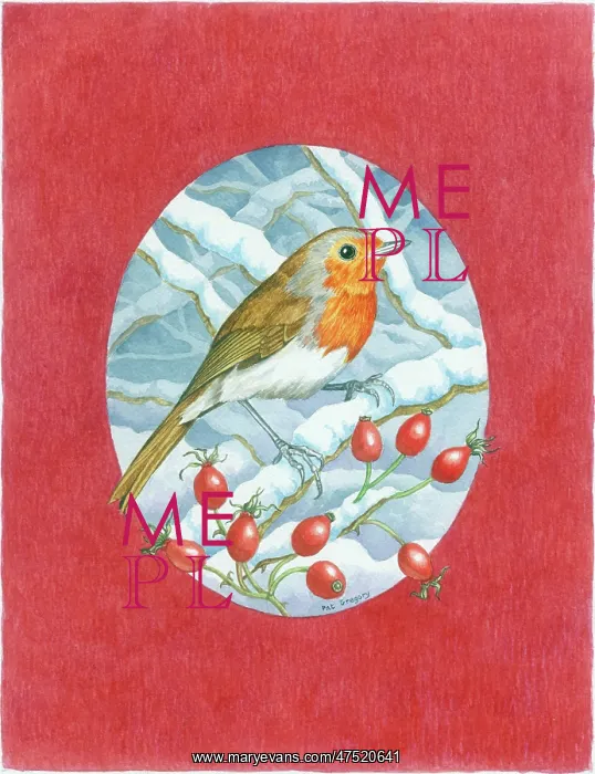 : Robin with Rose Hips - Oval design : Robin with Rose Hips - Oval design