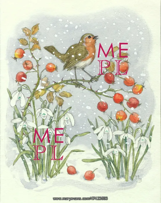 : Robin and rosehips by Molly Brett : Robin and rosehips by Molly Brett
