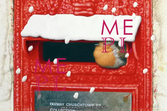  : Robin Sheltering in a Victorian Letterbox