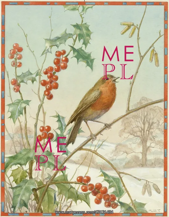: A robin sitting on a branch in the snow : A robin sitting on a branch in the snow